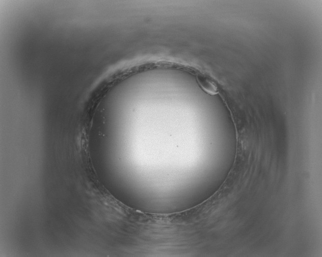 X0000074941495200609151951