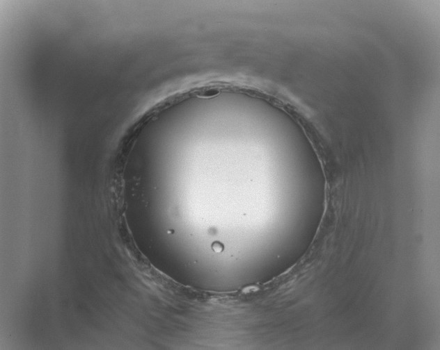 X0000074941496200609151951