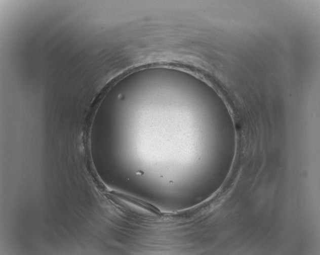 X0000074941497200609151951