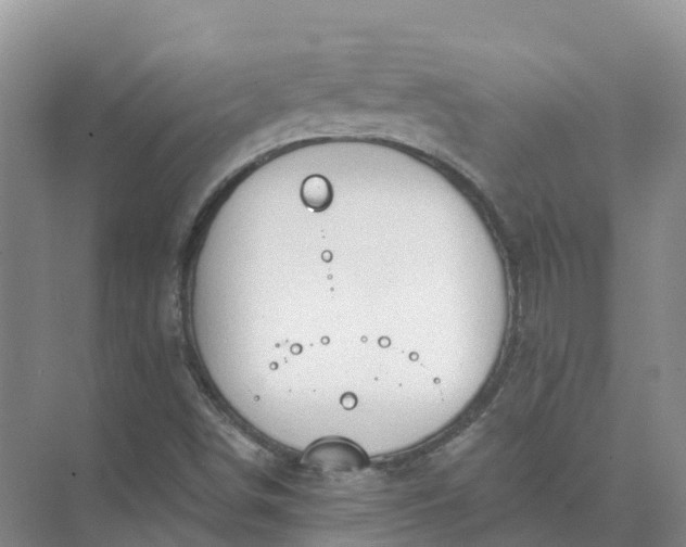 X0000074941498200609151951