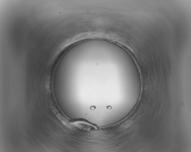 X0000074941499200609151951