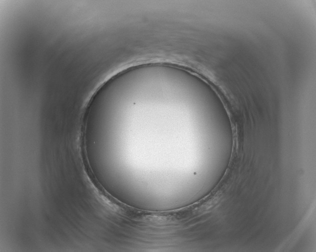 X0000074941500200609151951