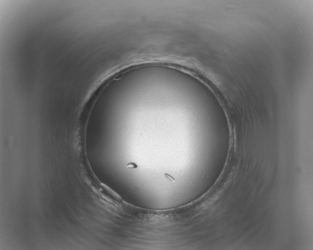 X0000074941501200609151951