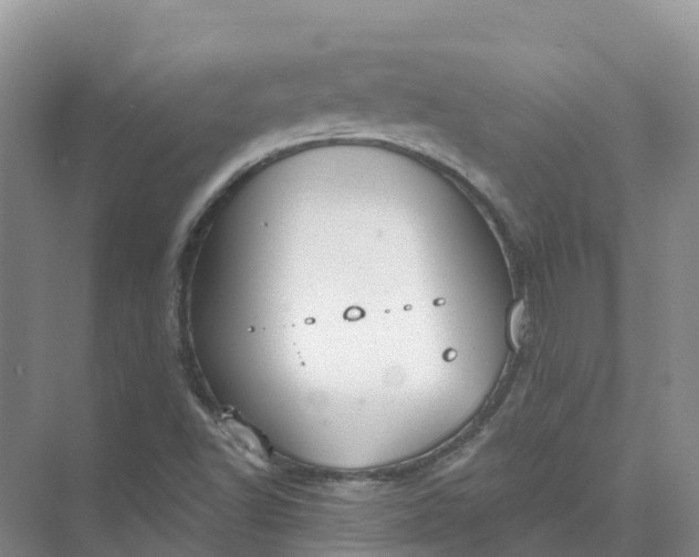 X0000074941502200609151951