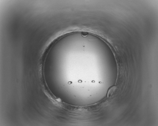 X0000074941503200609151951