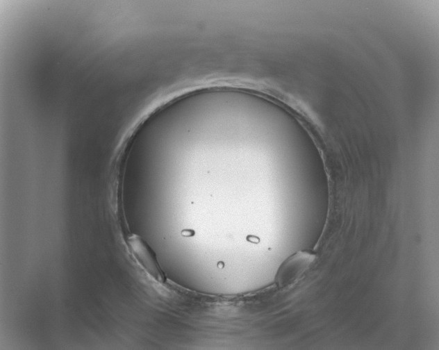 X0000074941504200609151951