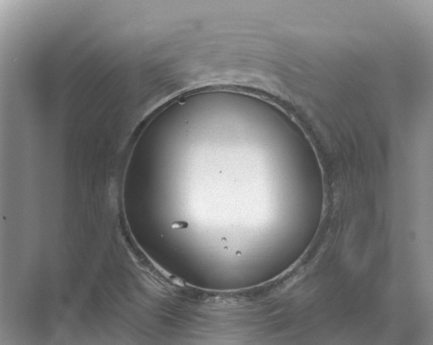 X0000074941505200609151951