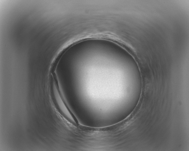 X0000074941506200609151951