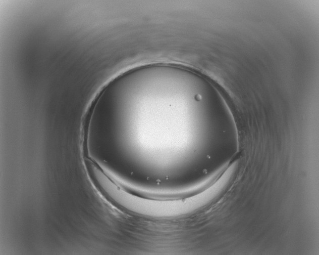 X0000074941508200609151951