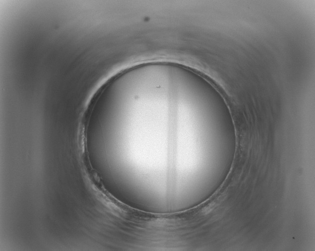 X0000074941510200609151951