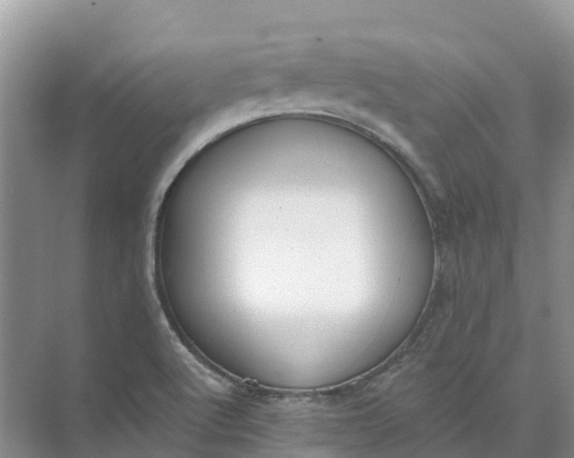 X0000074941512200609151951