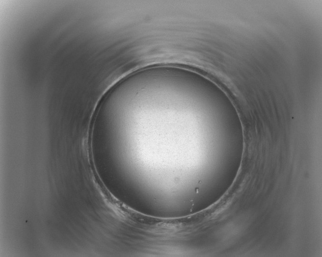 X0000074941513200609151951