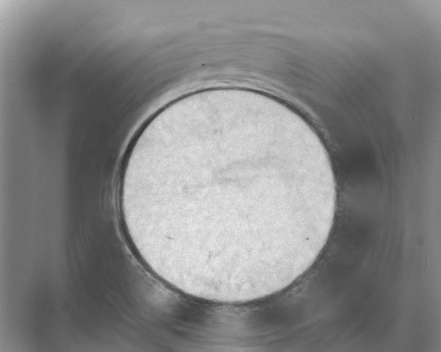 X0000074941514200609151951