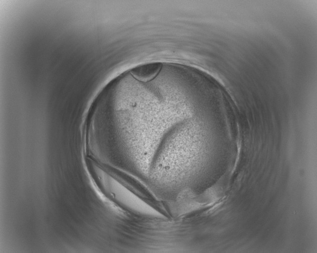 X0000074941515200609151951