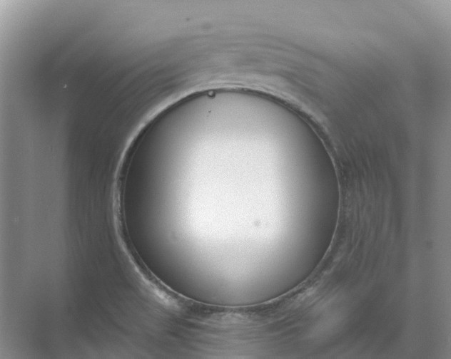 X0000074941517200609151951