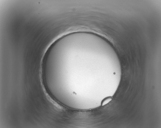 X0000074941518200609151951