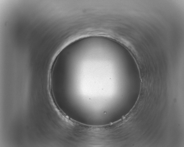 X0000074941520200609151951