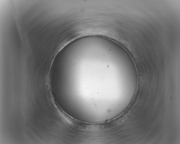 X0000074941521200609151951