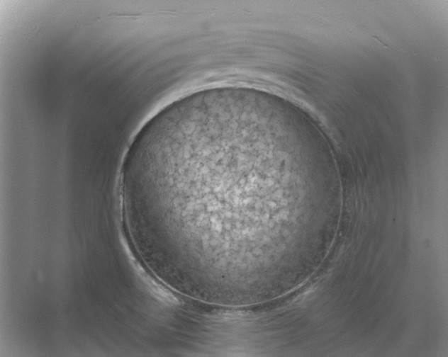 X0000074941522200609151951