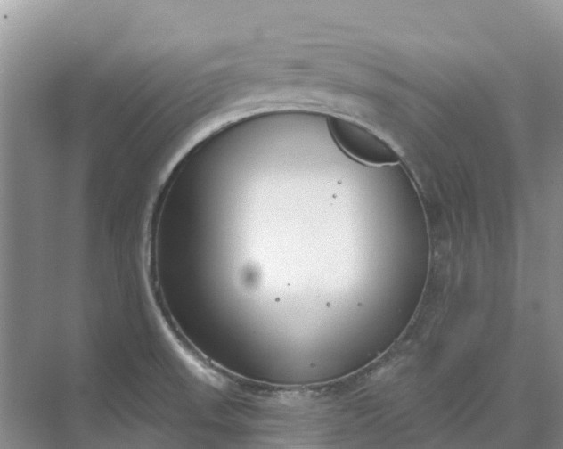 X0000074941523200609151951