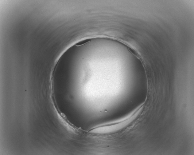 X0000074941524200609151951