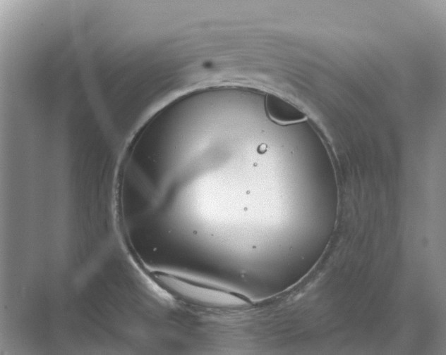 X0000074941525200609151951