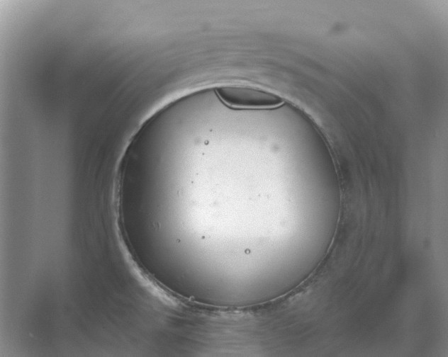 X0000074941526200609151951