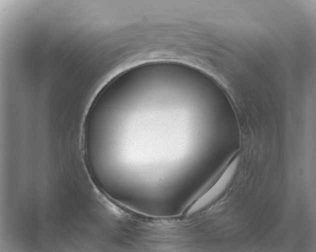 X0000074941527200609151951