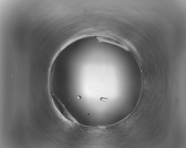 X0000074941528200609151951