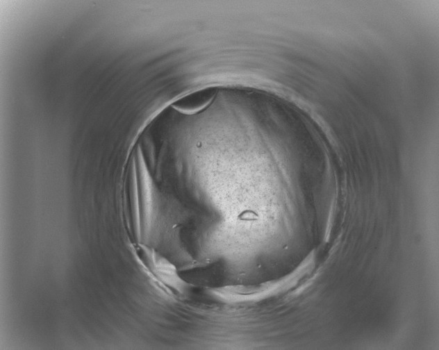 X0000074941529200609151951