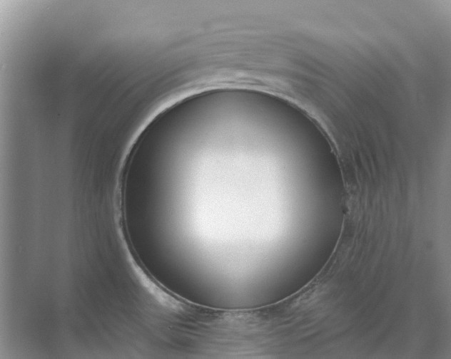 X0000074941531200609151951