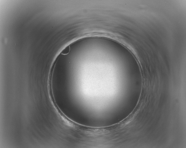 X0000074941533200609151951