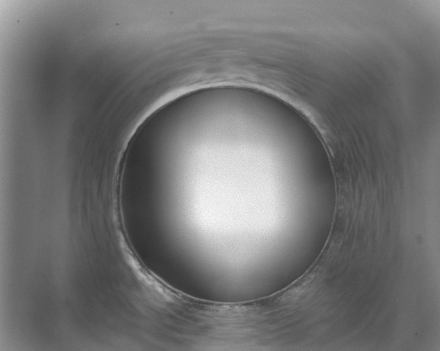 X0000074941534200609151951