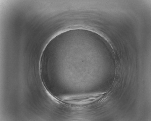 X0000074941535200609151951