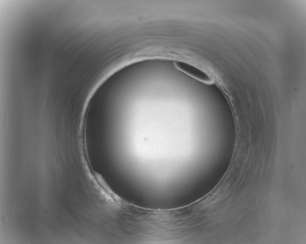 X0000074941536200609151952