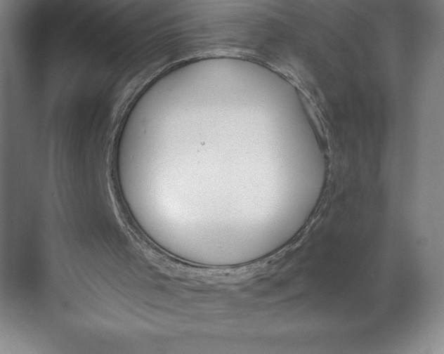 X0000074940001200609221717