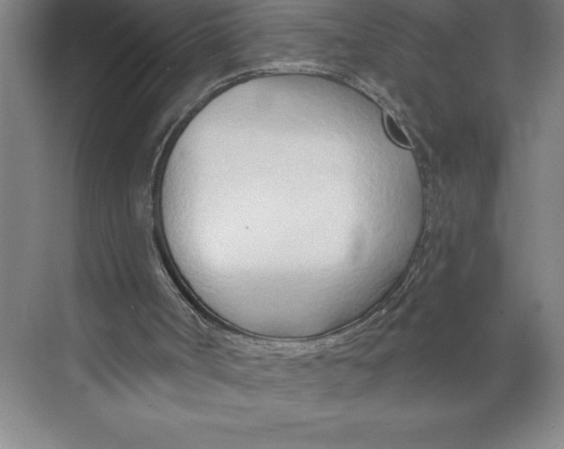 X0000074940002200609221717