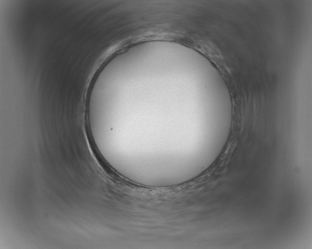 X0000074940003200609221717