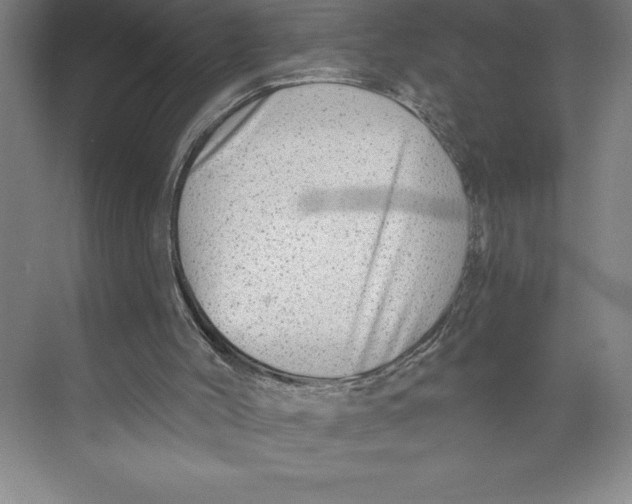 X0000074940004200609221717