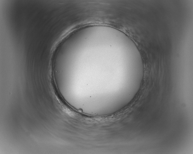 X0000074940005200609221717