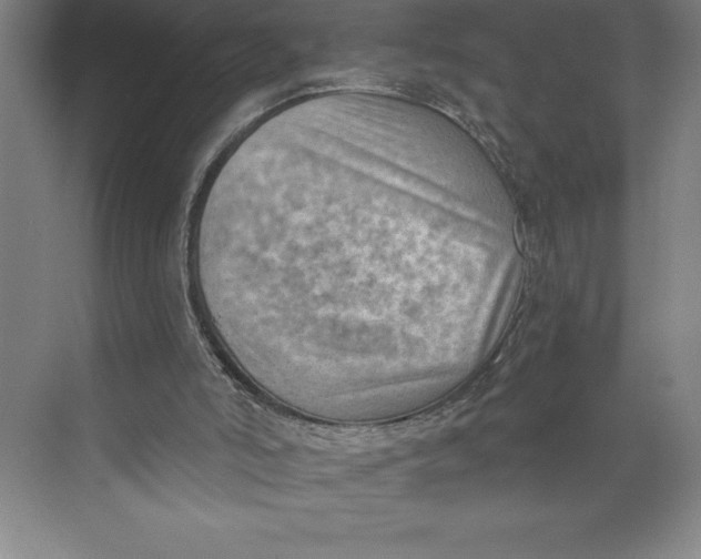 X0000074940006200609221717