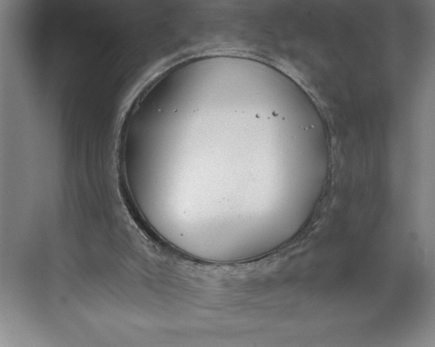 X0000074940007200609221717