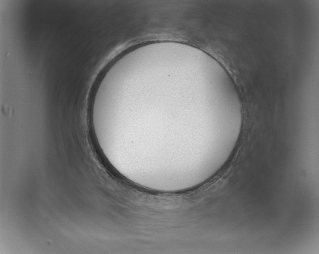 X0000074940008200609221717