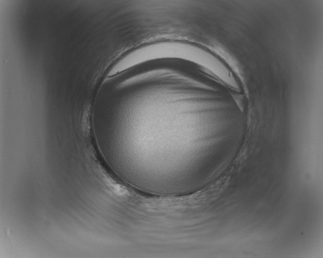 X0000074940009200609221717