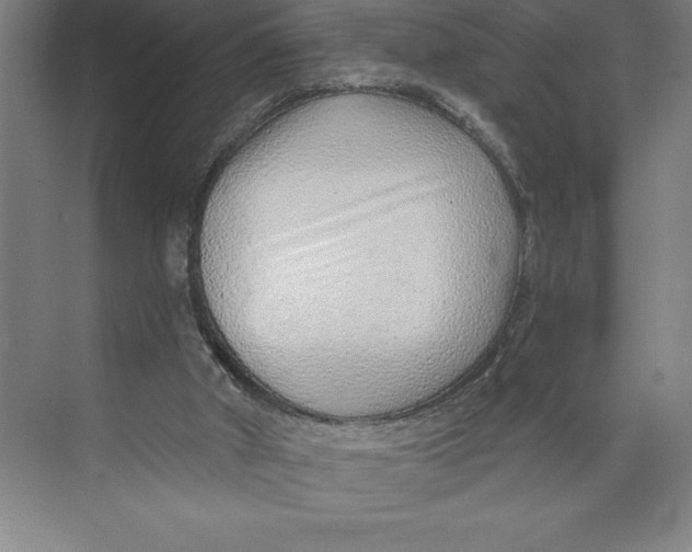 X0000074940010200609221717