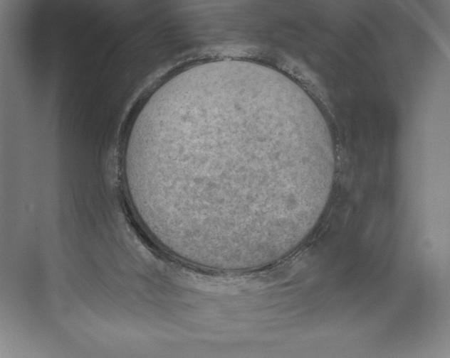 X0000074940012200609221717