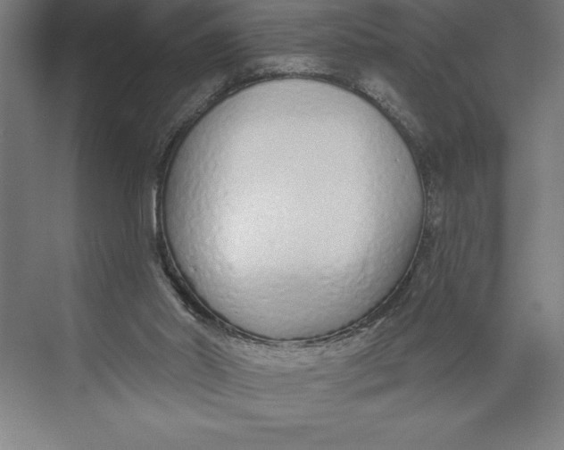 X0000074940014200609221717