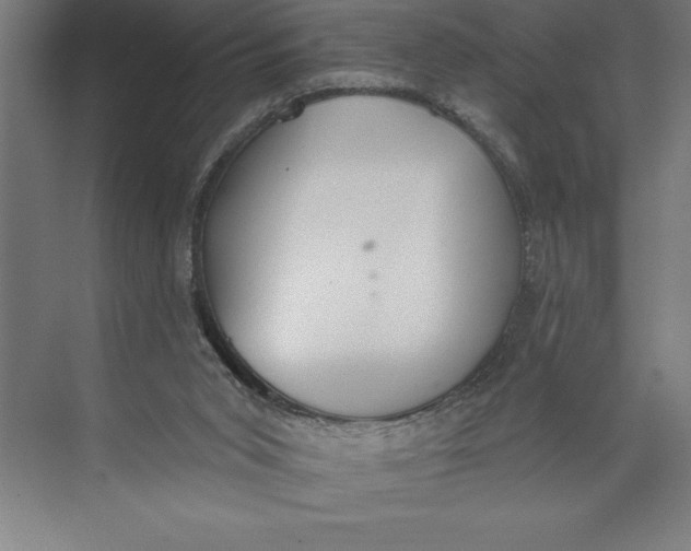 X0000074940015200609221717