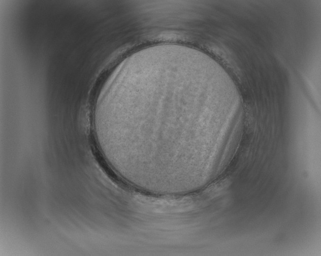 X0000074940016200609221717