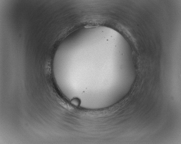 X0000074940017200609221717